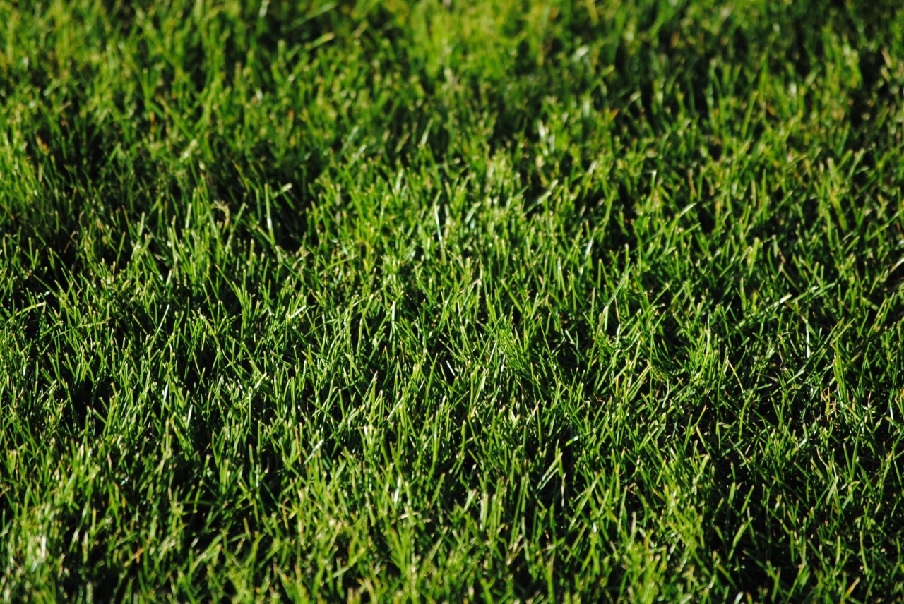 Artificial Grass: The Key To A Maintenance Free Backyard